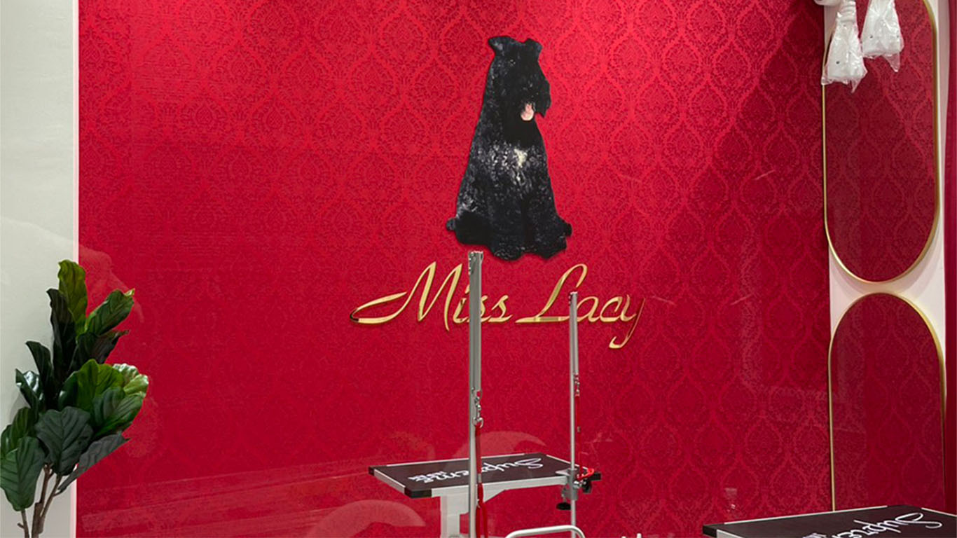 愛犬おしゃれ工房MissLacy 八王子